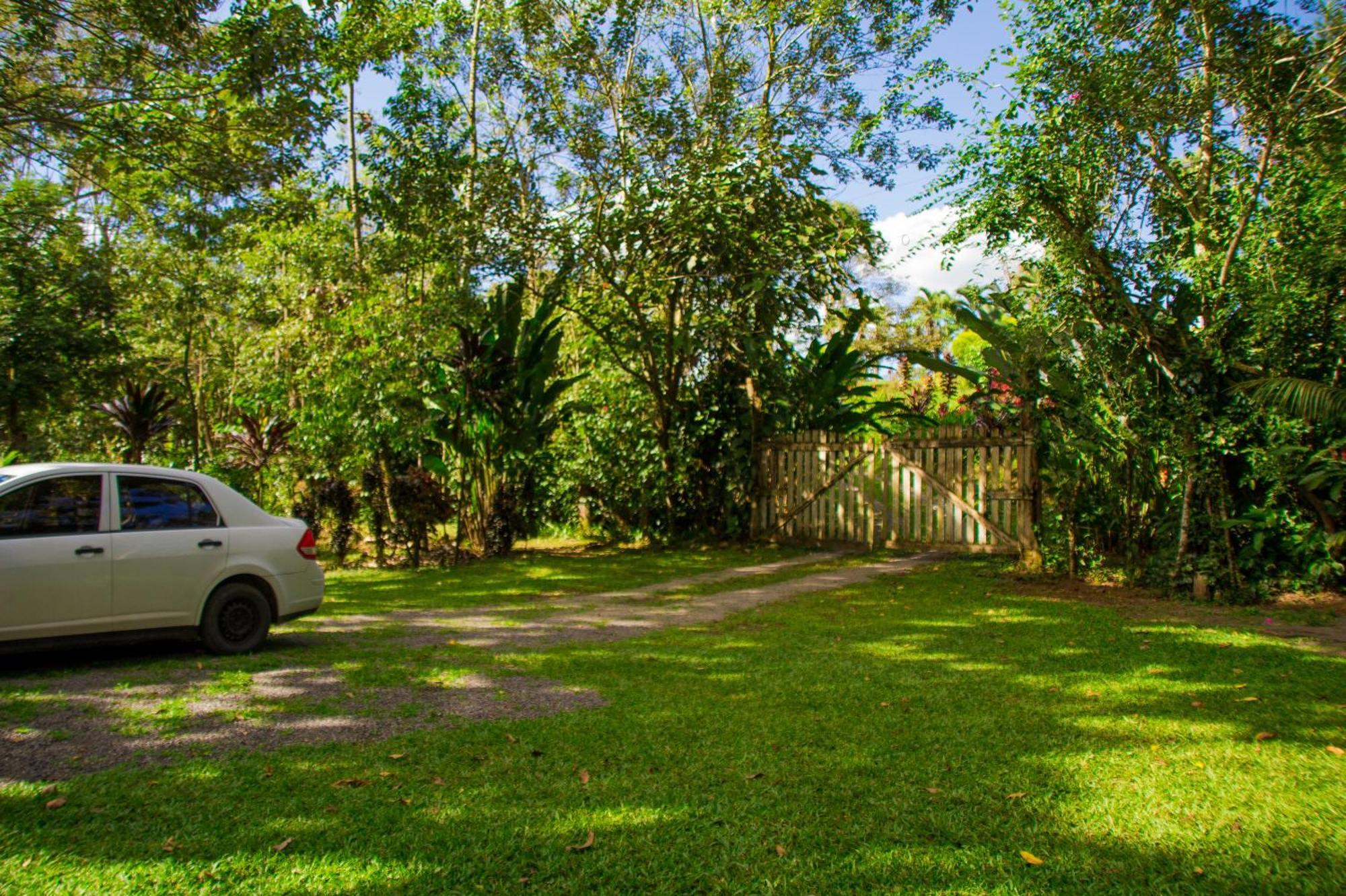 Eden Organic Farm & Bungalows La Fortuna Quarto foto