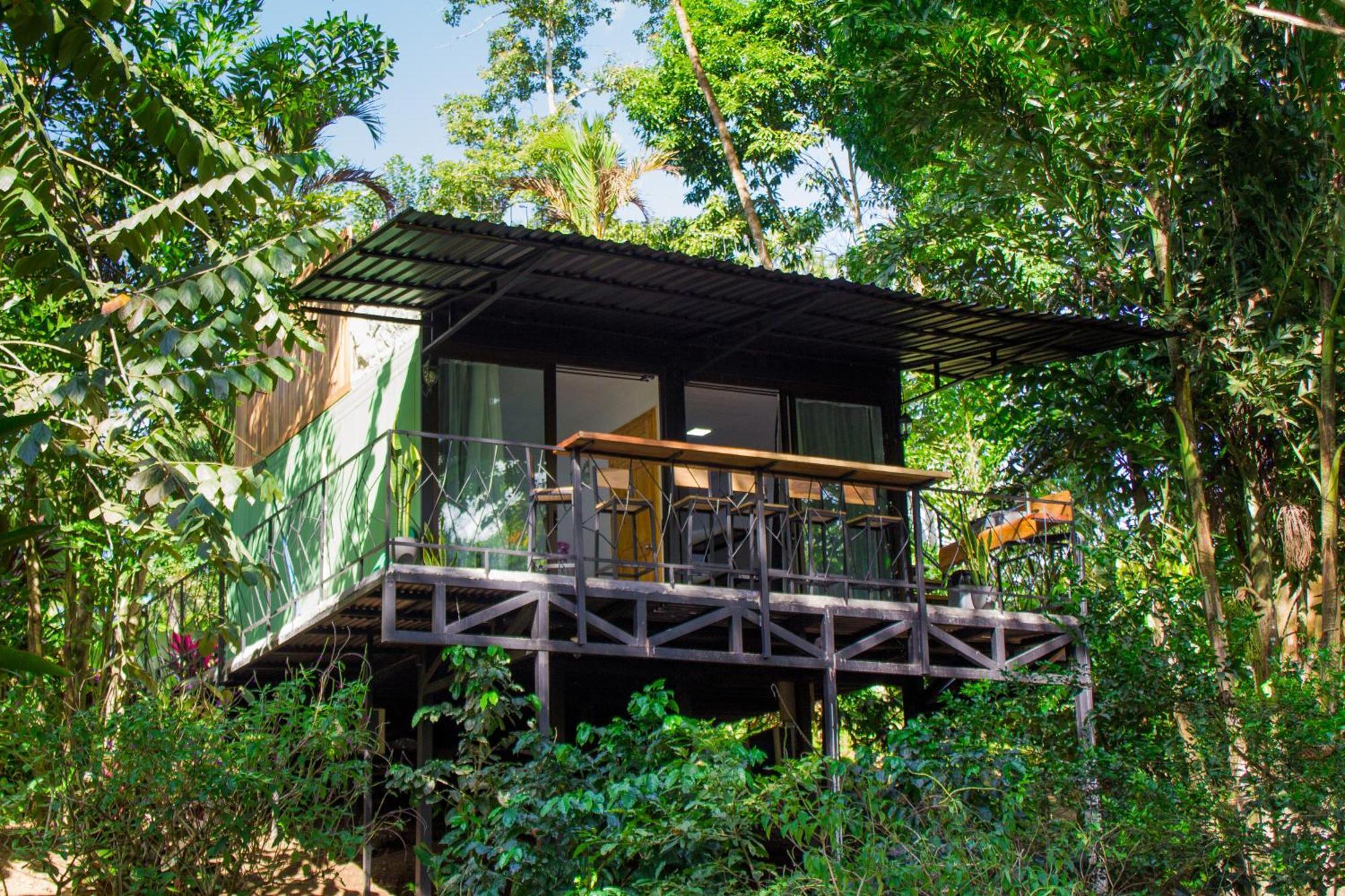 Eden Organic Farm & Bungalows La Fortuna Quarto foto